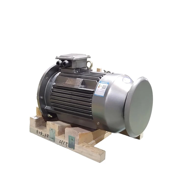 High RPM Induction Motor